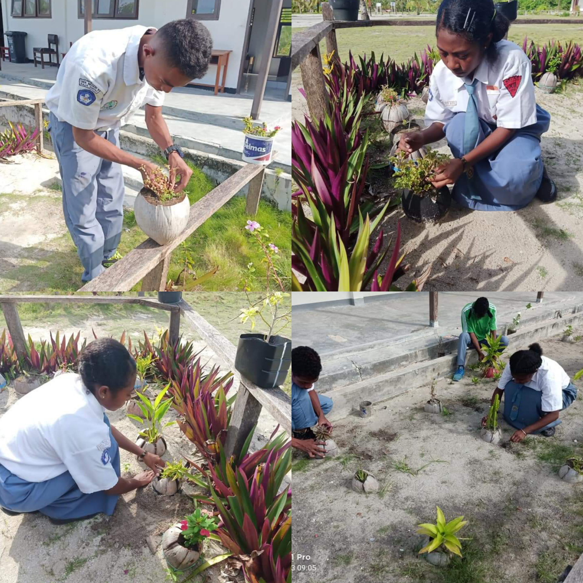 Dorehkar, Salah satu kegiatan peserta didik di SMA Negeri 9 Raja Ampat, yaitu pembuatan pos bunga dari Batok kelapa baik kulit maupun batoknya dapat dijadikan pot bunga.